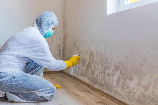 Licensed Commercial Mold Remediation service in Glenwood, MN - WQB Mold Removal