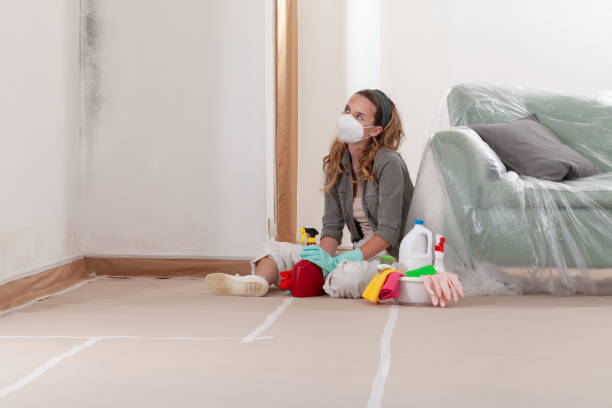 Reliable Commercial Mold Remediation contractor in Glenwood, MN by WQB Mold Removal